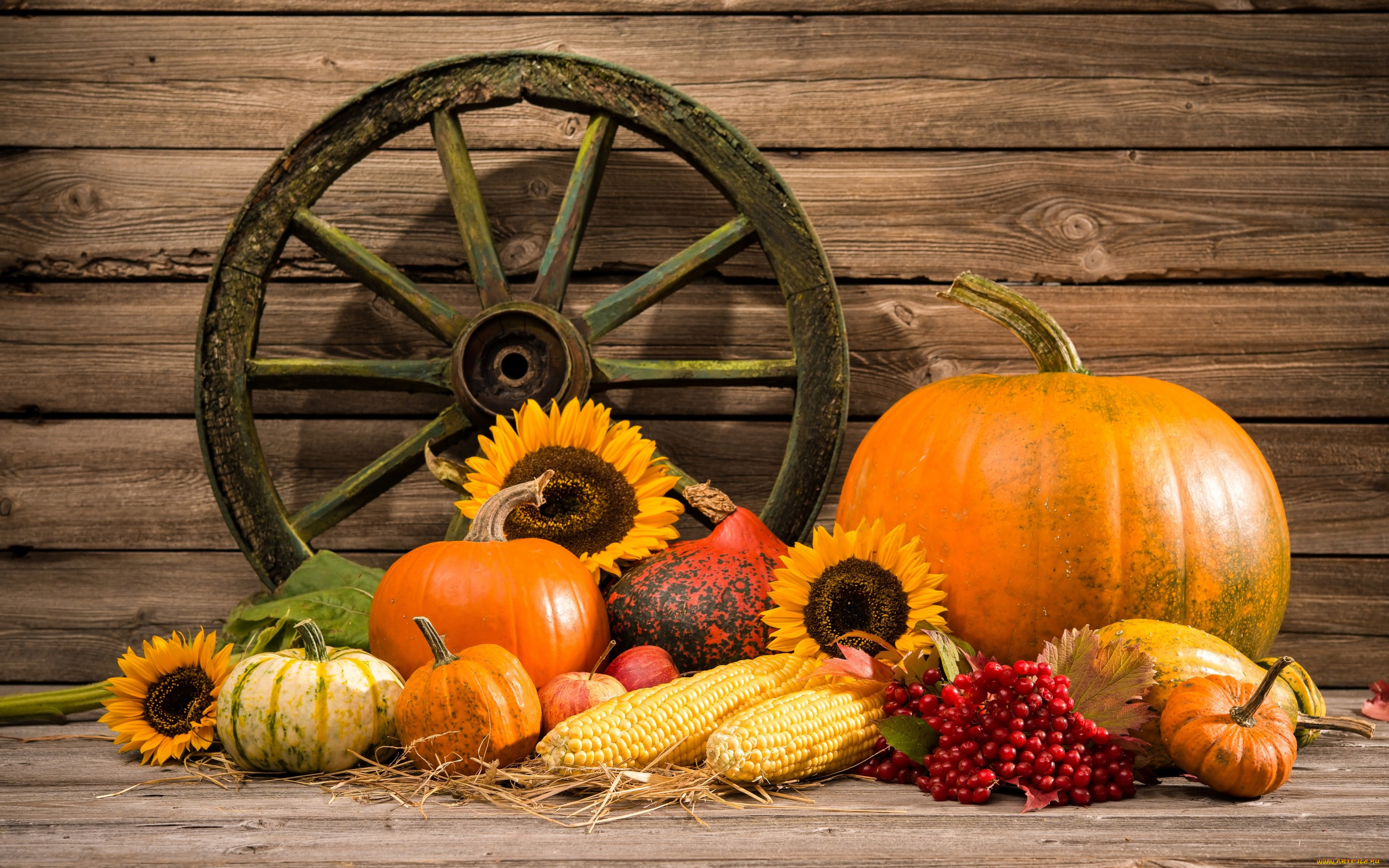 , , vegetables, autumn, harvest, pumpkin, still, life, , , , 